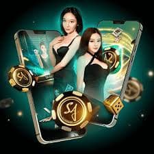 JILIVEO အက်ပ် ထည့်သွင်းနည်း Android iOS မြန်မာ ဒေါင်းလုဒ်